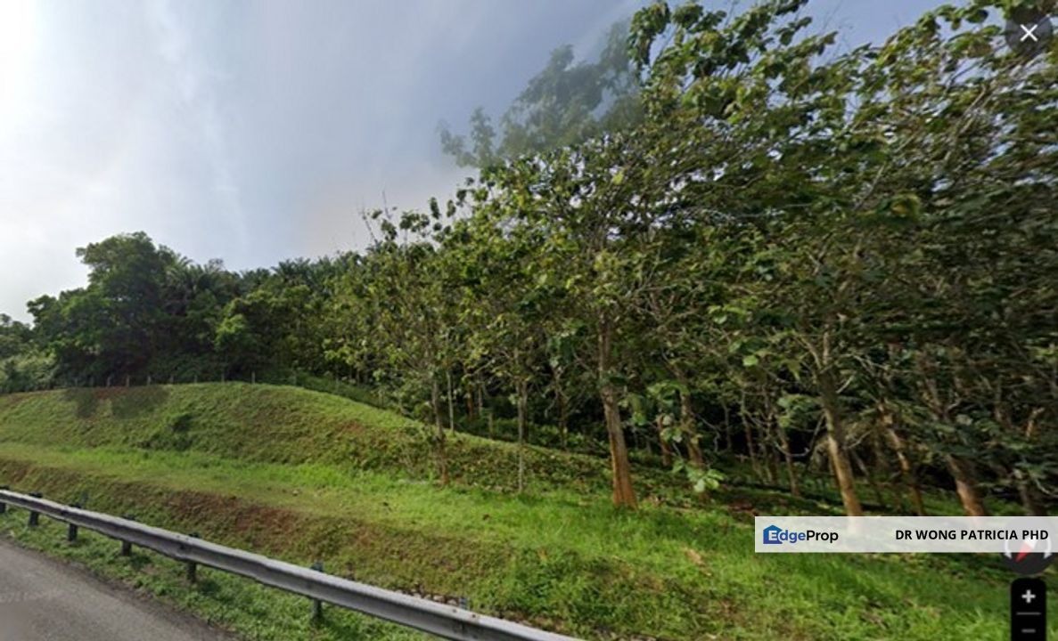 Land, 881 acres, off AH2 North South Expressway, 84600 Pagoh, Johor, Johor, Pagoh