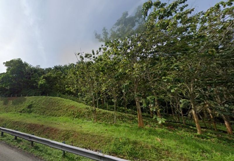 Land, 881 acres, off AH2 North South Expressway, 84600 Pagoh, Johor