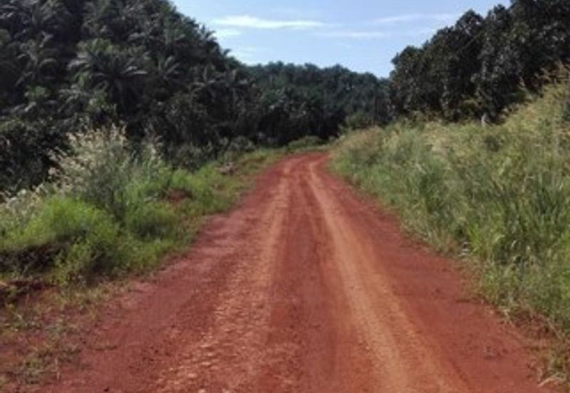 Land, 881 acres, off AH2 North South Expressway, 84600 Pagoh, Johor