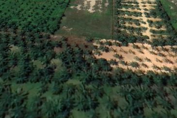 Jalan Jimah Power @ Chuah