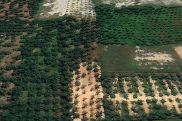 Jalan Jimah Power @ Chuah