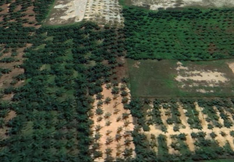 Jalan Jimah Power @ Chuah