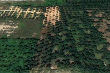 Jalan Jimah Power @ Chuah