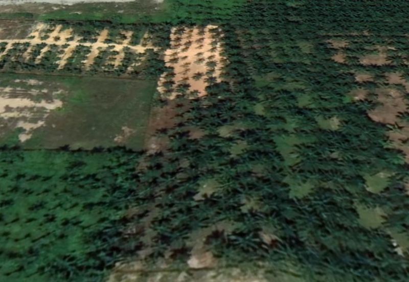 Jalan Jimah Power @ Chuah