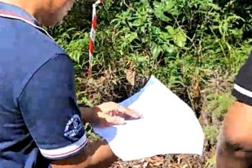 Sungai Gumut ( Lembah Beringin )