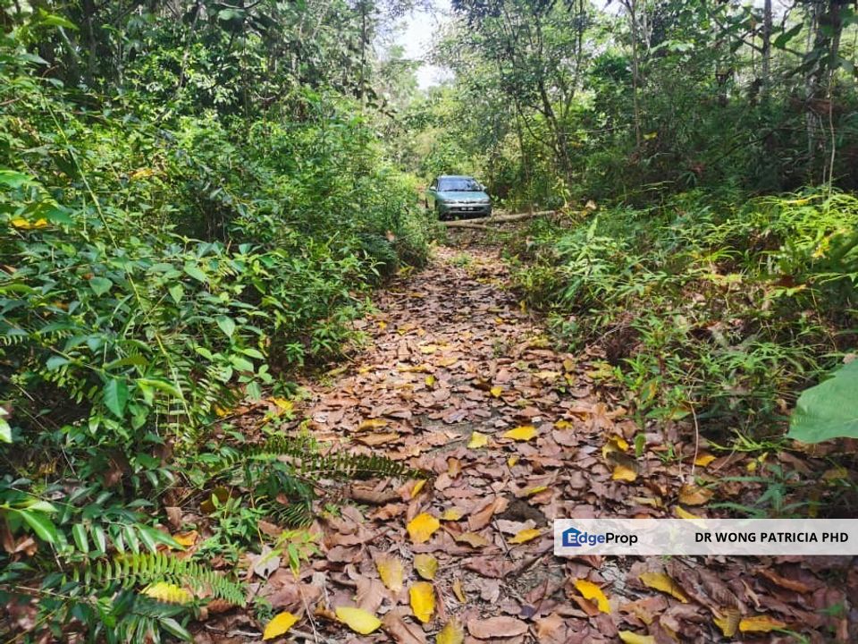 Land, Very Cheap, from 1 to 7 acres, Sungai Gumut, Lembah Beringin 44000, Selangor, Selangor, Kuala Kubu Baru