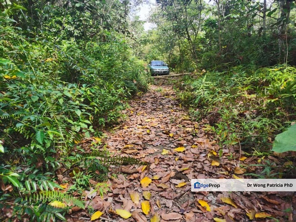 Land, Very Cheap, from 1 to 7 acres, Sungai Gumut, Lembah Beringin 44000, Selangor, Selangor, Kuala Kubu Baru