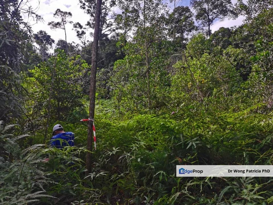 Land, Very Cheap, from 1 to 7 acres, Sungai Gumut, Lembah Beringin 44000, Selangor, Selangor, Kuala Kubu Baru