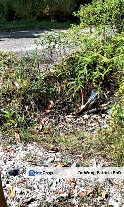 Land, Very Cheap, from 1 to 7 acres, Sungai Gumut, Lembah Beringin 44000, Selangor, Selangor, Kuala Kubu Baru
