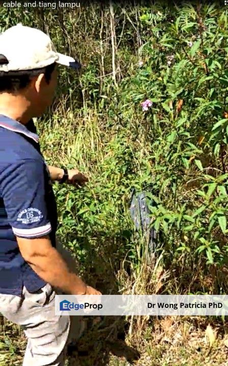 Land, Very Cheap, from 1 to 7 acres, Sungai Gumut, Lembah Beringin 44000, Selangor, Selangor, Kuala Kubu Baru