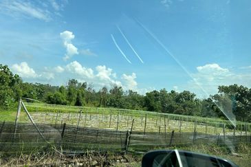 Sungai Gumut ( Lembah Beringin )