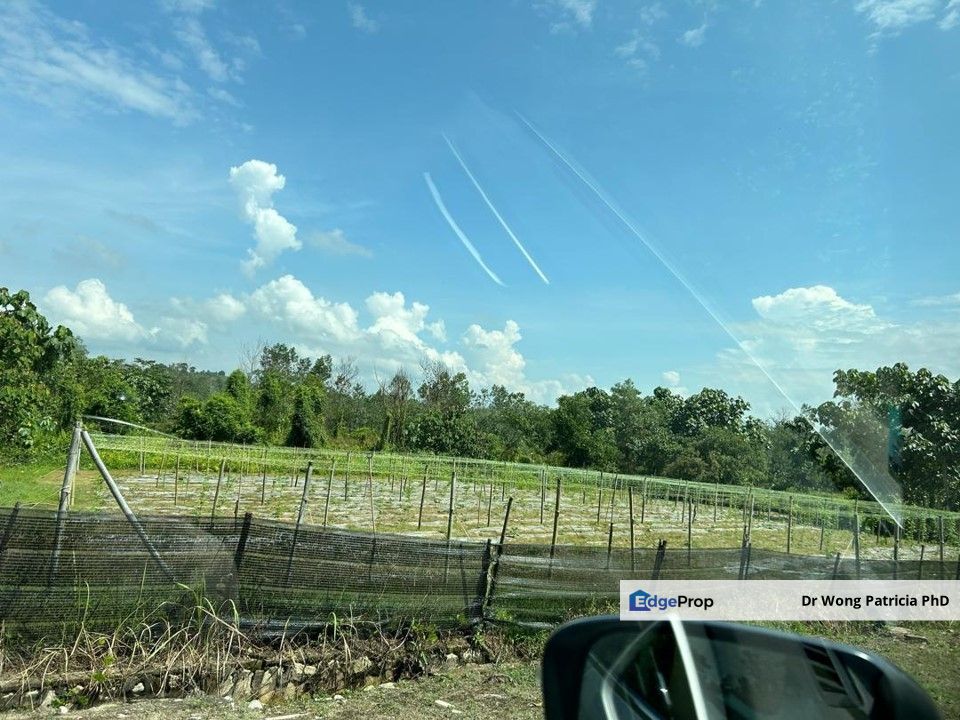 Land, Very Cheap, from 1 to 7 acres, Sungai Gumut, Lembah Beringin 44000, Selangor, Selangor, Kuala Kubu Baru