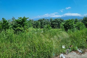 Sungai Gumut ( Lembah Beringin )