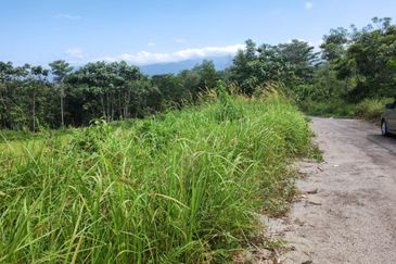 Sungai Gumut ( Lembah Beringin )