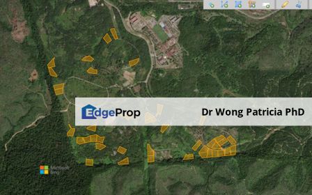 Land, Very Cheap, from 1 to 7 acres, Sungai Gumut, Lembah Beringin 44000, Selangor, Selangor, Kuala Kubu Baru