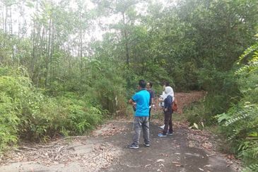 Sungai Gumut ( Lembah Beringin )