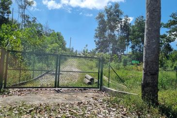 Sungai Gumut ( Lembah Beringin )