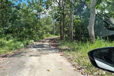 Sungai Gumut ( Lembah Beringin )