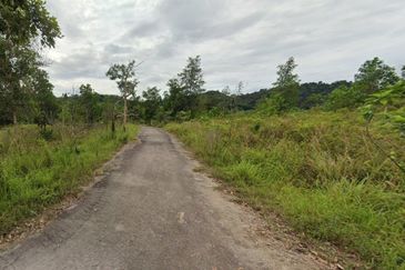 Sungai Gumut ( Lembah Beringin )