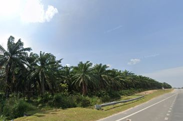 Land, 43.95 acres, Main Road,  Jalan Pokok Sena-Kuala Nerang, 06400 Pokok Sena, Kedah