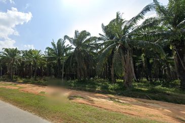 Land, 43.95 acres, Main Road,  Jalan Pokok Sena-Kuala Nerang, 06400 Pokok Sena, Kedah