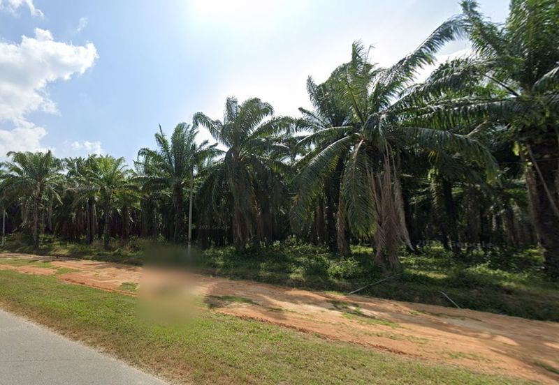 Land, 43.95 acres, Main Road,  Jalan Pokok Sena-Kuala Nerang, 06400 Pokok Sena, Kedah