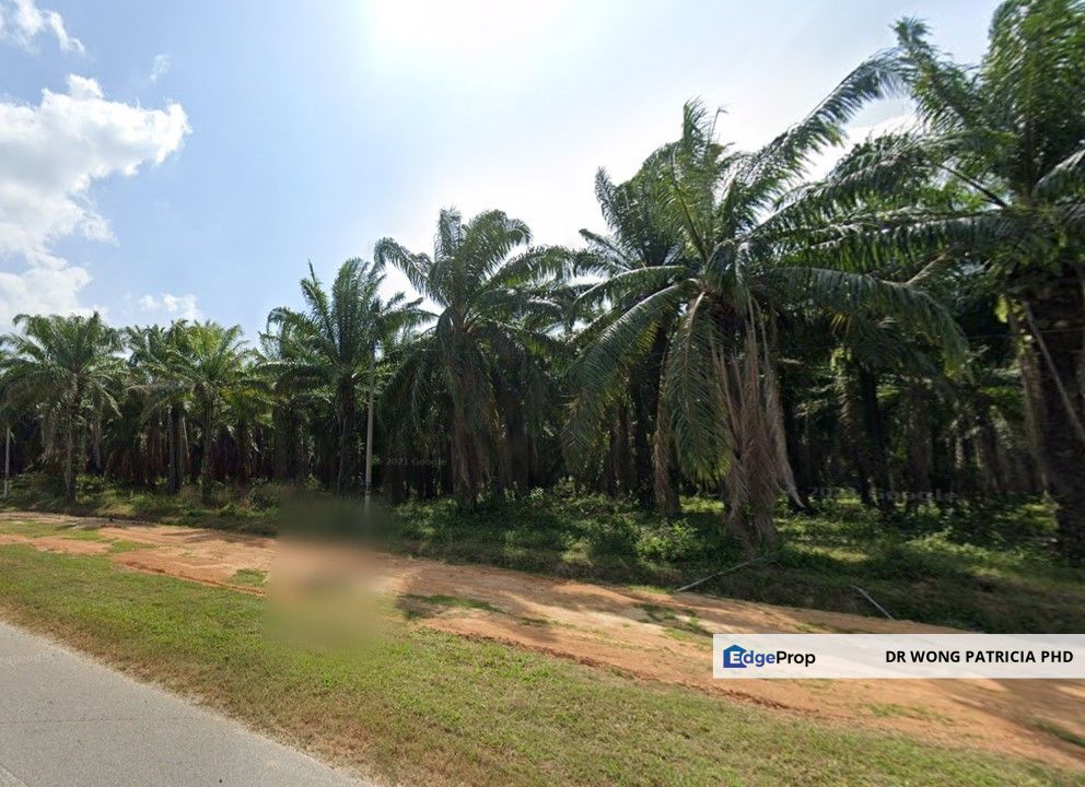 Land, 43.95 acres, Main Road,  Jalan Pokok Sena-Kuala Nerang, 06400 Pokok Sena, Kedah, Kedah, Pokok Sena