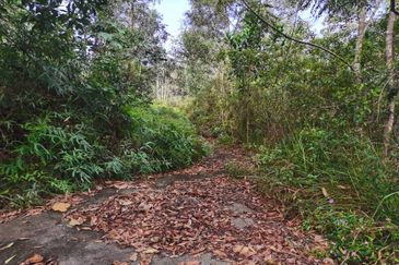 Sungai Gumut ( Lembah Beringin )