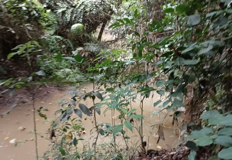 Land, 6.47 acres, near Kuala Tahan & Taman Negara, Kpg Bantal, Ulu Tembeling, Jerantut 27020  Pahang  