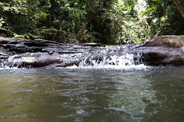 Land, 6.47 acres, near Kuala Tahan & Taman Negara, Kpg Bantal, Ulu Tembeling, Jerantut 27020  Pahang  