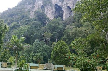 Land, SALE OR JV, 29.13 ac, Main Road, Jalan Termeloh - Jerantut, 28050 Kuala Krau, Pahang Near to Stesen KTMB (Intercity) Kuala Krau