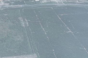 Land, SALE OR JV, 29.13 ac, Main Road, Jalan Termeloh - Jerantut, 28050 Kuala Krau, Pahang Near to Stesen KTMB (Intercity) Kuala Krau