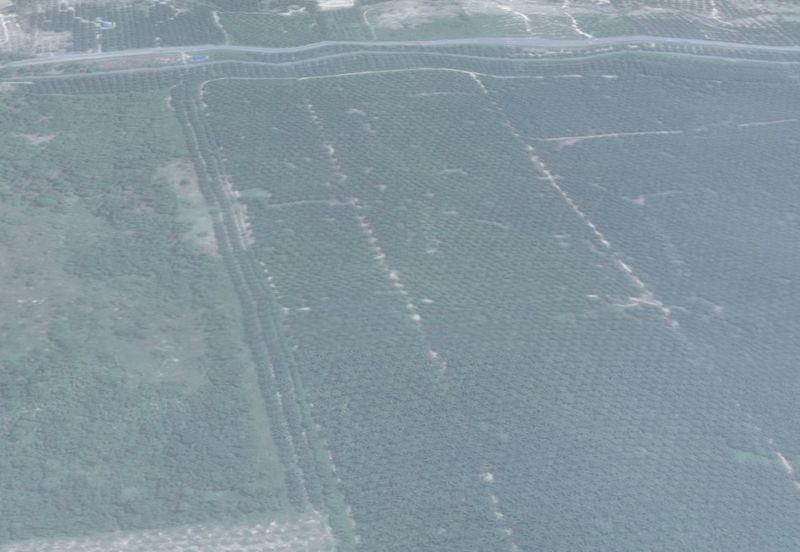 Land, SALE OR JV, 29.13 ac, Main Road, Jalan Termeloh - Jerantut, 28050 Kuala Krau, Pahang Near to Stesen KTMB (Intercity) Kuala Krau