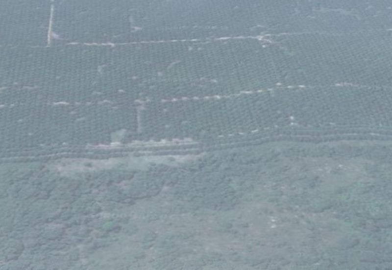 Land, SALE OR JV, 29.13 ac, Main Road, Jalan Termeloh - Jerantut, 28050 Kuala Krau, Pahang Near to Stesen KTMB (Intercity) Kuala Krau