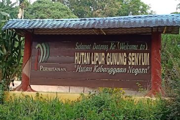 Land, SALE OR JV, 29.13 ac, Main Road, Jalan Termeloh - Jerantut, 28050 Kuala Krau, Pahang Near to Stesen KTMB (Intercity) Kuala Krau