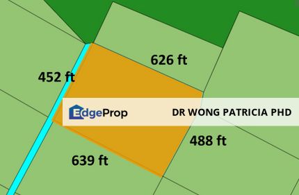 Land, 7.03 ac, below market value, Kampung Manchis, Pelangai 28740 Pahang, Pahang, Bentong