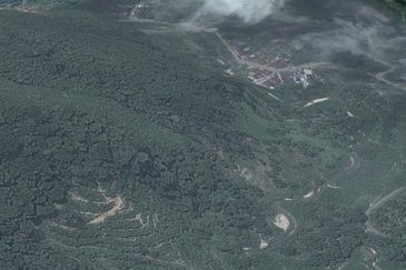 Agarwood Land, 3.68  ac,  Kampung Baharu Teras, 27600 Raub, Pahang