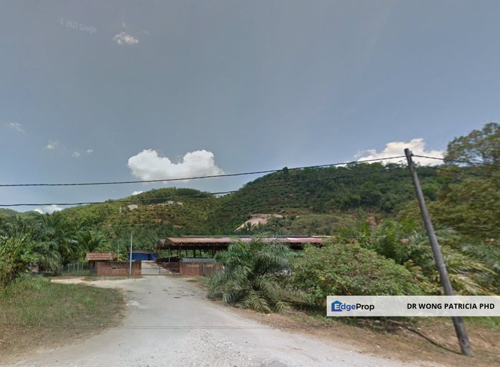 Land, Very Cheap, Hilltop, 8.35 acres, KM 5, Jalan Sang Lee, Sungai Penjuring, 28700 Bentong, Pahang , Pahang, Bentong