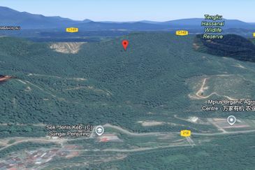 Land, Very Cheap, Hilltop, 8.35 acres, KM 5, Jalan Sang Lee, Sungai Penjuring, 28700 Bentong, Pahang 