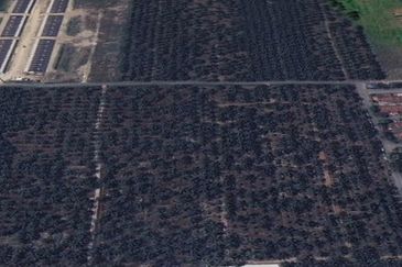 Taman Jaya, Pekan Kapar