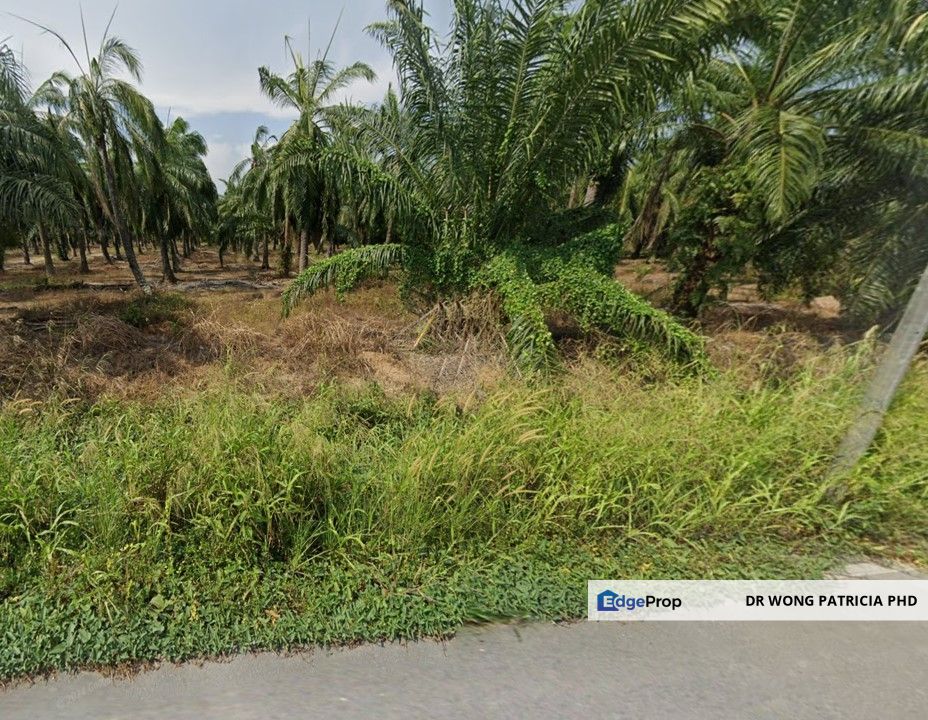 Land 10.5 acres, Jalan Tok Muda 1, Batu 12, Jalan Kapar, 42200 Kapar, Selangor, Selangor, Kapar 