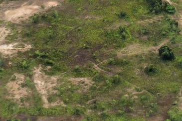 Shah Alam Industrial