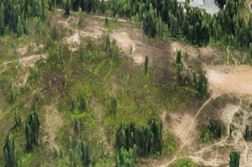 Shah Alam Industrial