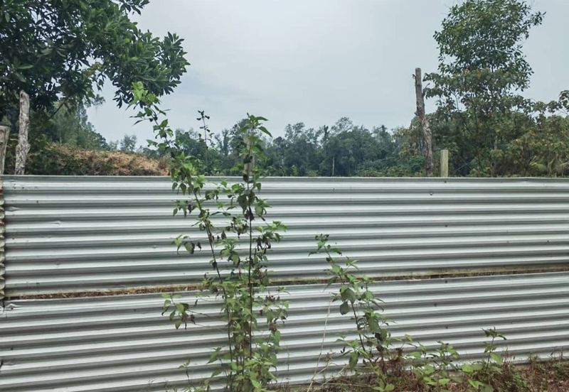 Beach Land, 6 acres, Off Jalan Pantai Hiburan, Kampung Pulau Lang, 26800 Kuala Rompin, Pahang