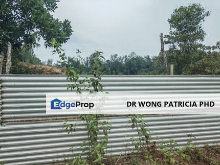Beach Land, 6 acres, Off Jalan Pantai Hiburan, Kampung Pulau Lang, 26800 Kuala Rompin, Pahang, Pahang, Kuala Rompin