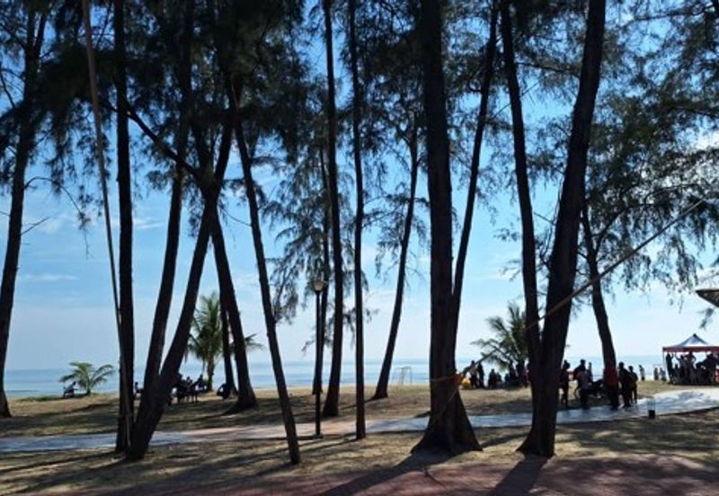 Beach Resort Land, 4.64 acres, Jalan Pantai Hiburan, Kampung Pulau Lang, 26800 Kuala Rompin, Pahang