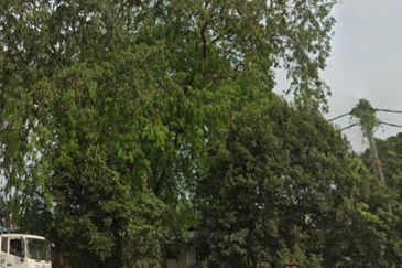 Jalan Bukit Kemuning