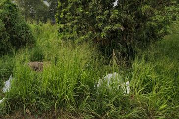 Jalan Bukit Kemuning