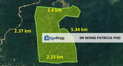 Rubber Plantation FOR  SALE  : Very Cheap, 1,999 acres,  Kg Mandavang Darat, Jalan Mandavang Teringai, 89108 Kota Marudu, Sabah, Sabah, Kota Marudu