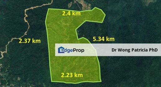 Rubber Plantation FOR  SALE  : Very Cheap, 1,999 acres,  Kg Mandavang Darat, Jalan Mandavang Teringai, 89108 Kota Marudu, Sabah, Sabah, Kota Marudu